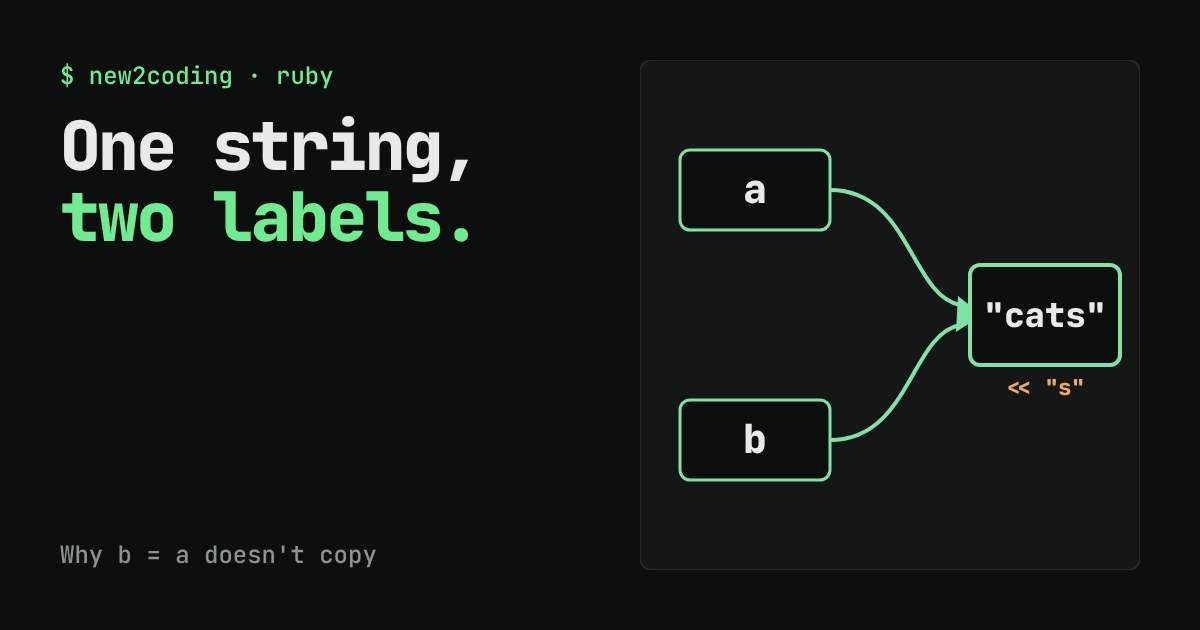 Two labels, a and b, both pointing at one Ruby string object that reads cats